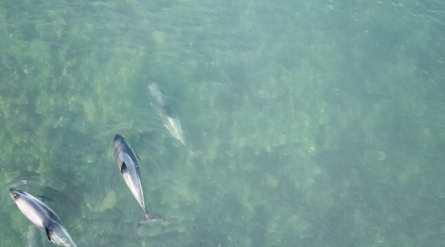 Un-respiro-en-Casa-de-Pesca.jpg